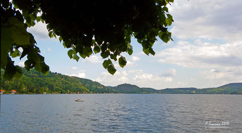 Foglie e Lago