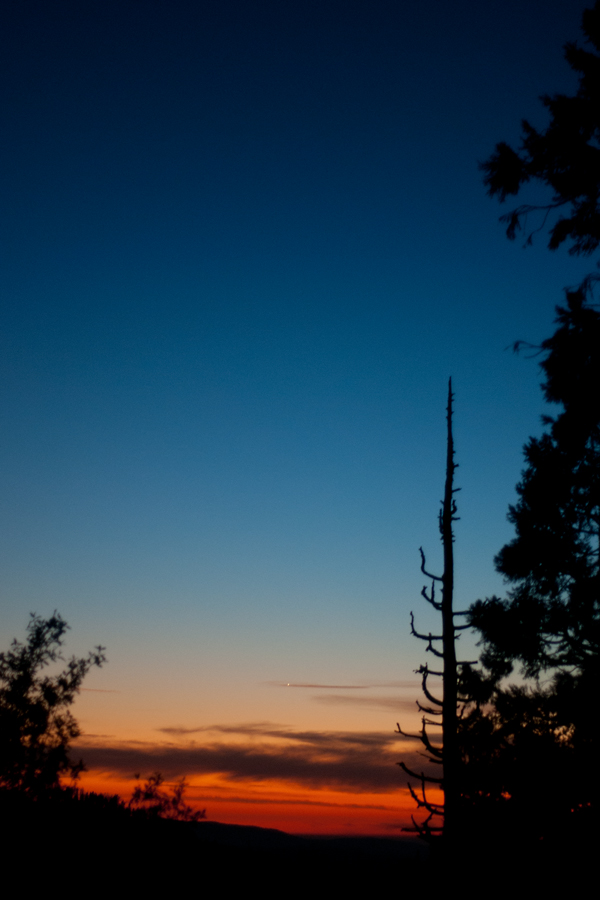 Yosemite NP