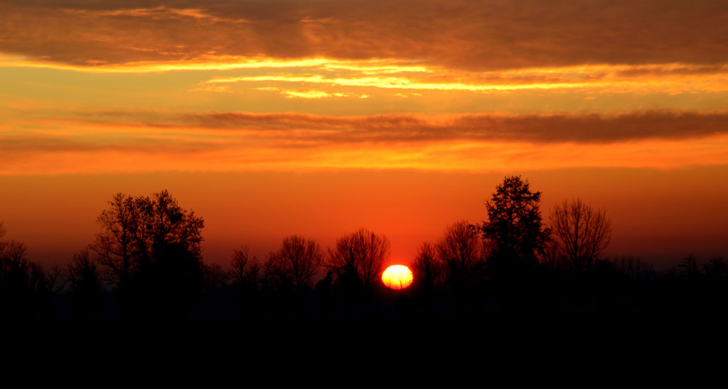 Alba