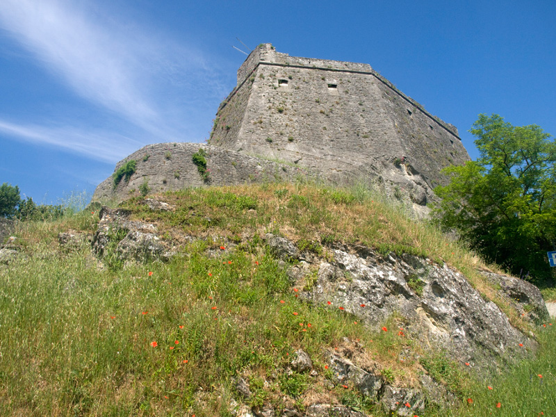 gavi 2