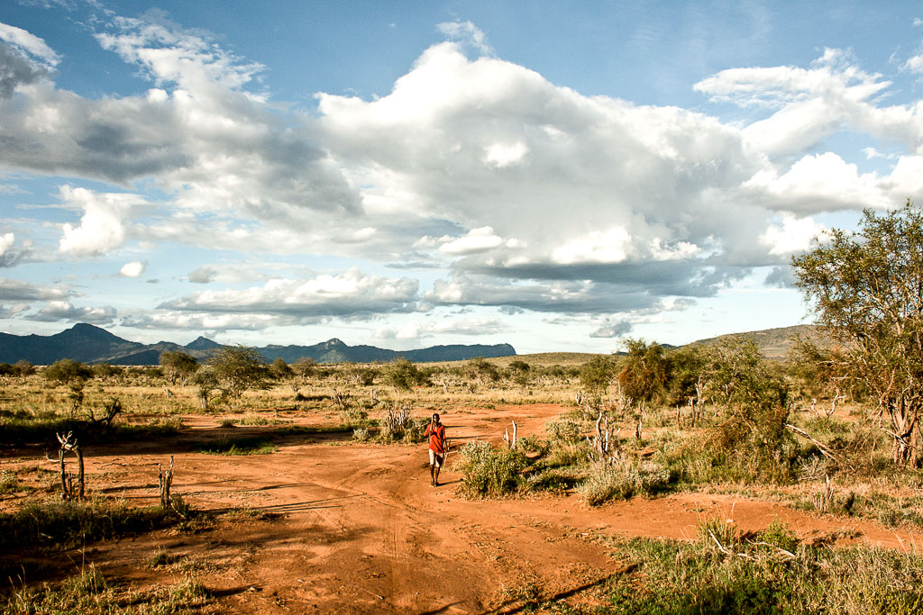 Africa 3