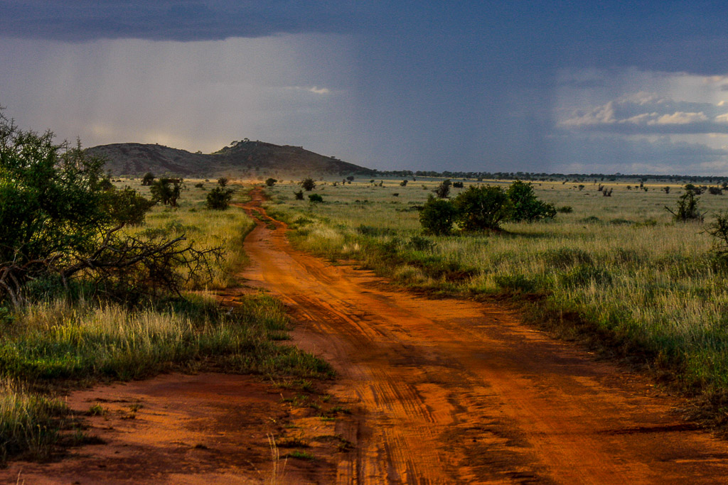 Africa 8