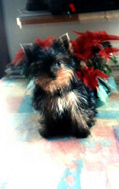 Lucy