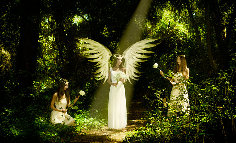 Fantasy