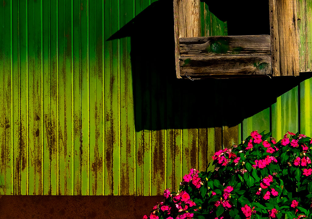 crop
