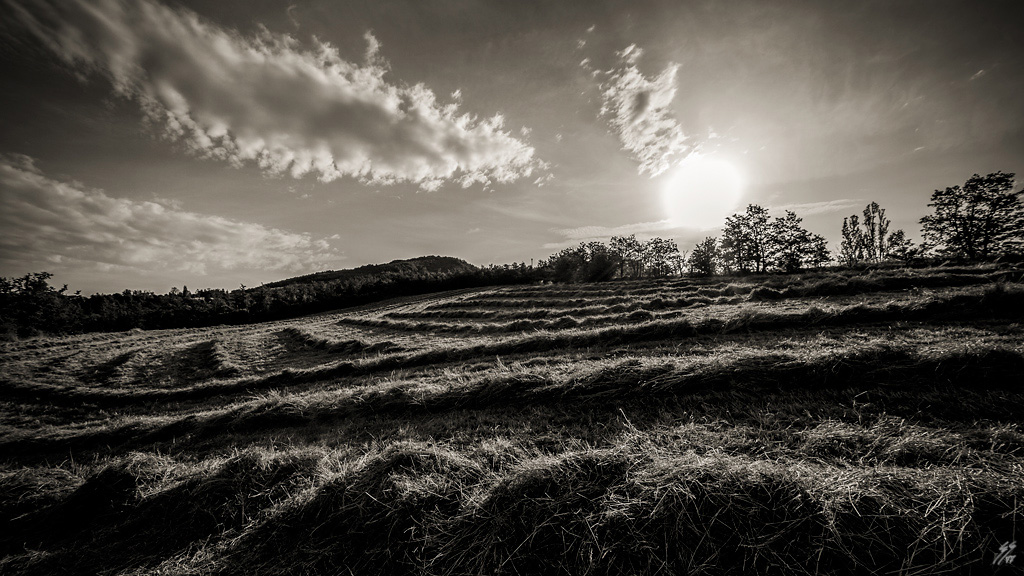 ..sepia sunrise..