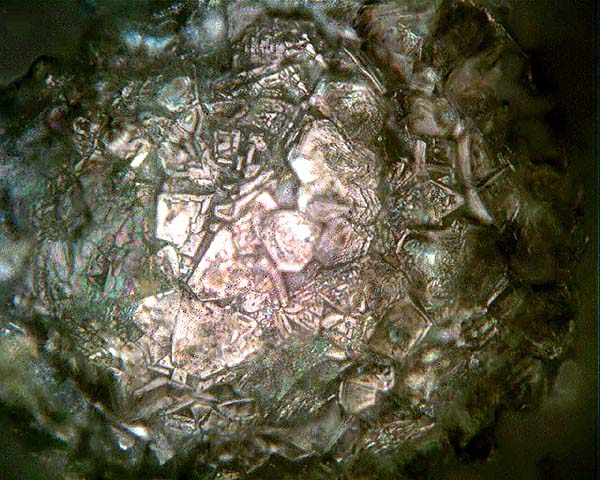 Micro Meteorite
