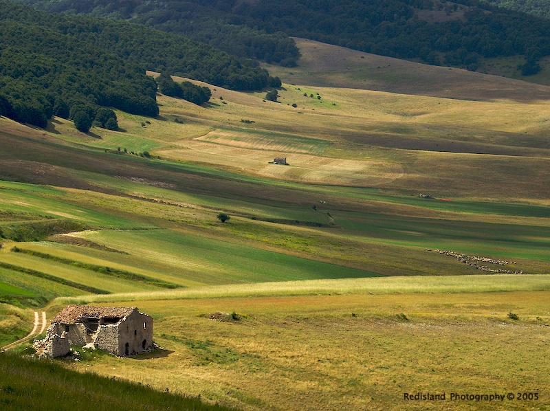 Rudere