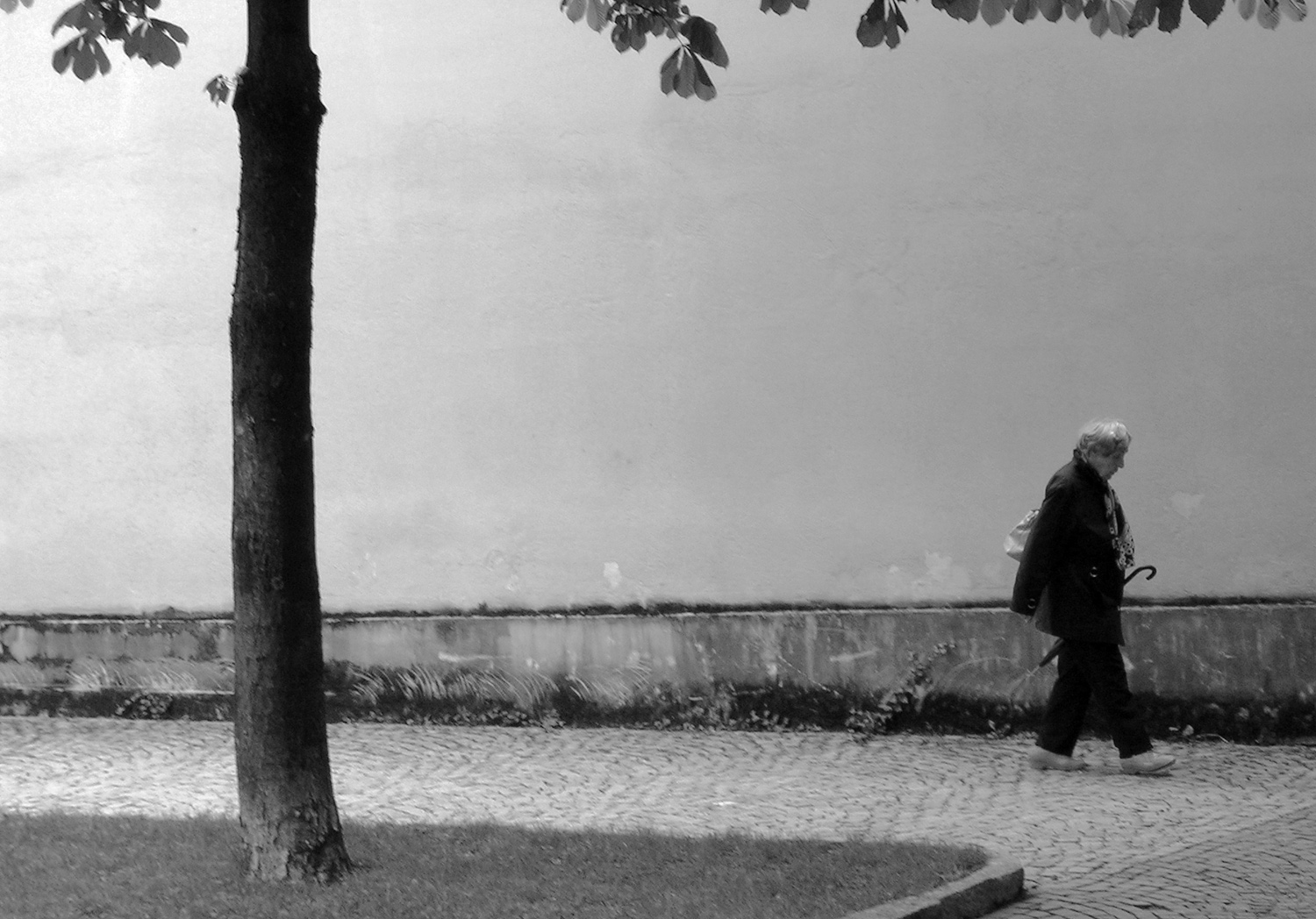 Una vita