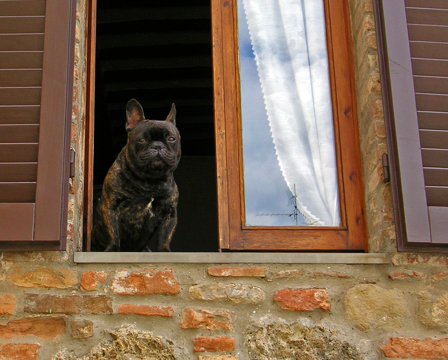 Guardiano