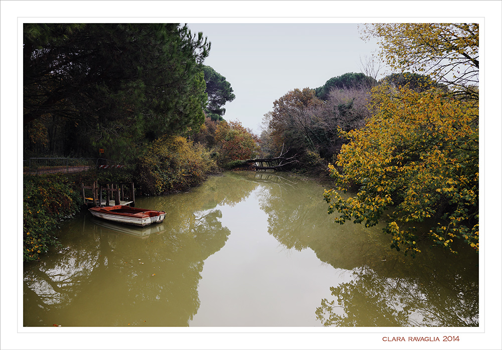 Uno sguardo dal ponte...