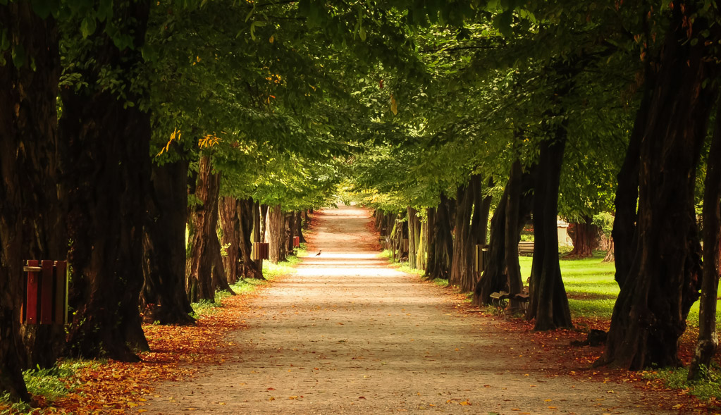l'unica strada
