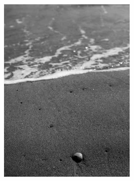 acqua3