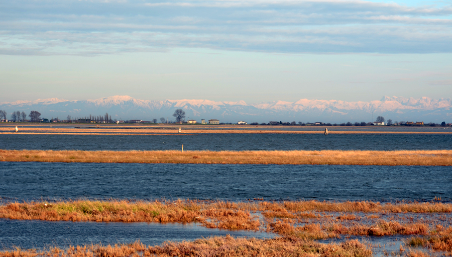 Laguna dorata...