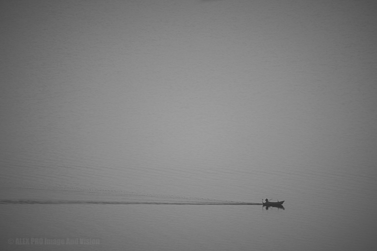 Il pescatore d'asterischi