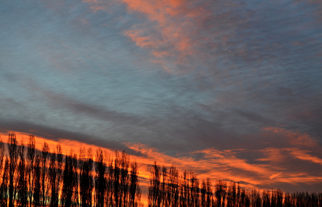 sky 3