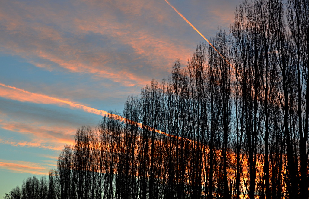 sky 6