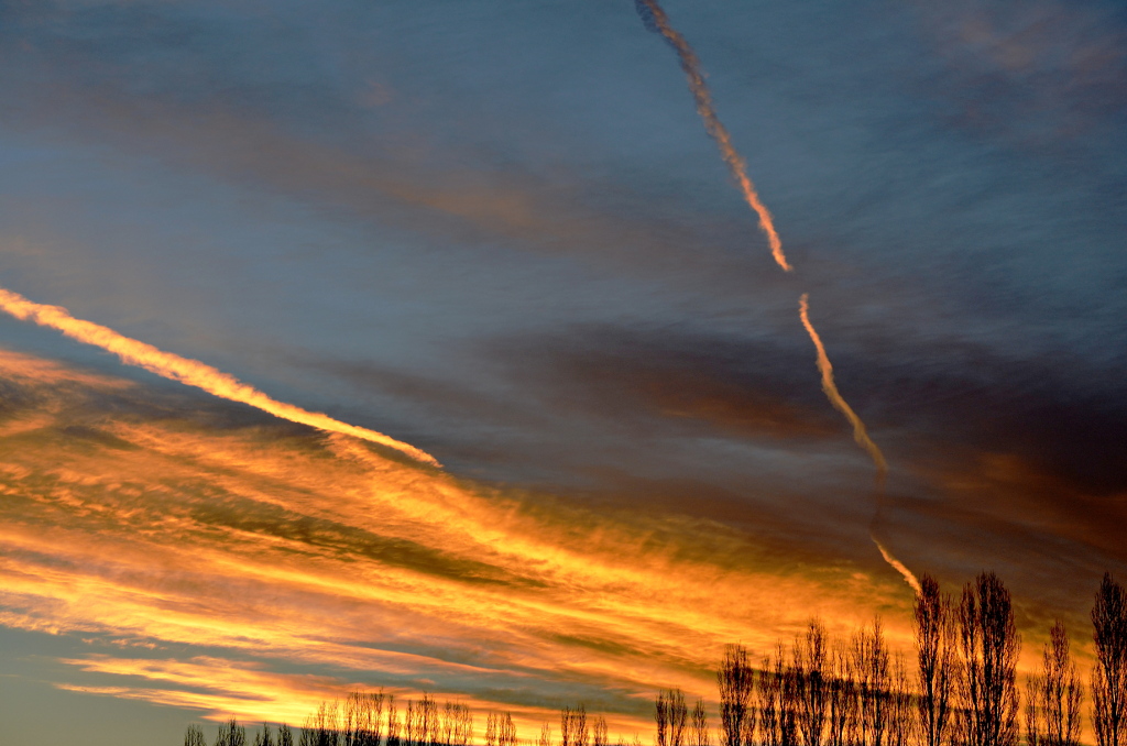 sky 7