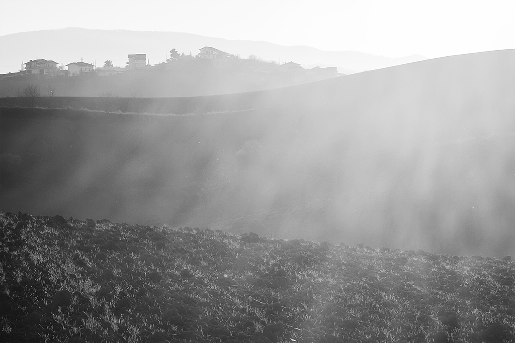 Controluce