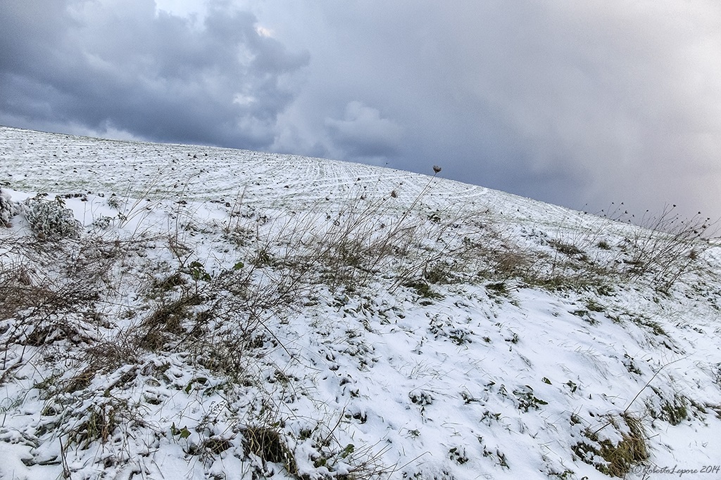 Neve sulla collina