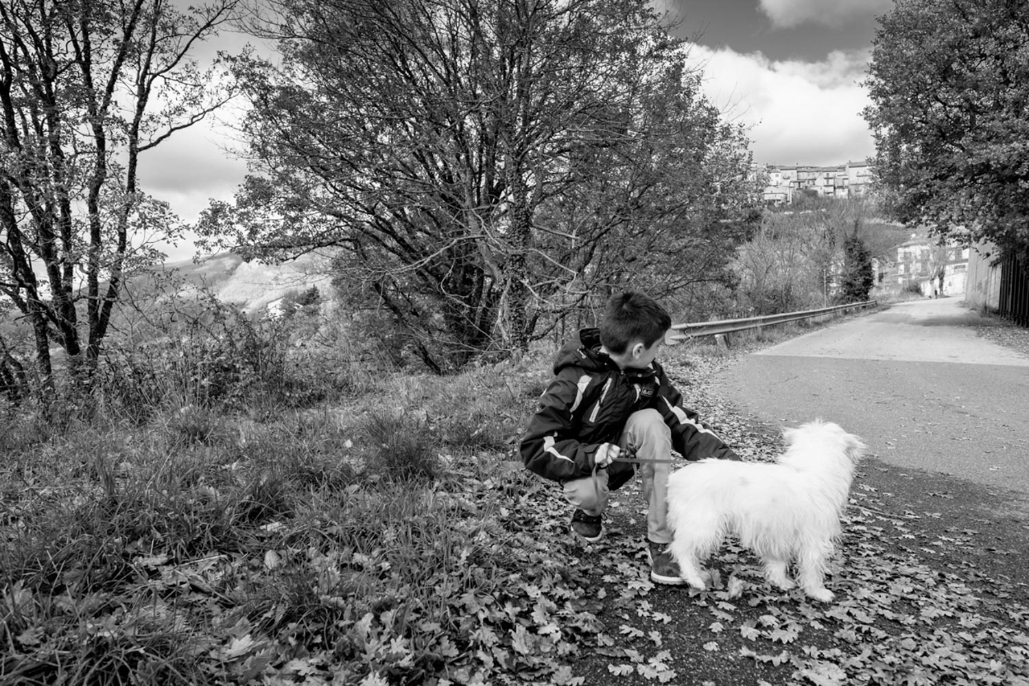 Piccoli Amici
