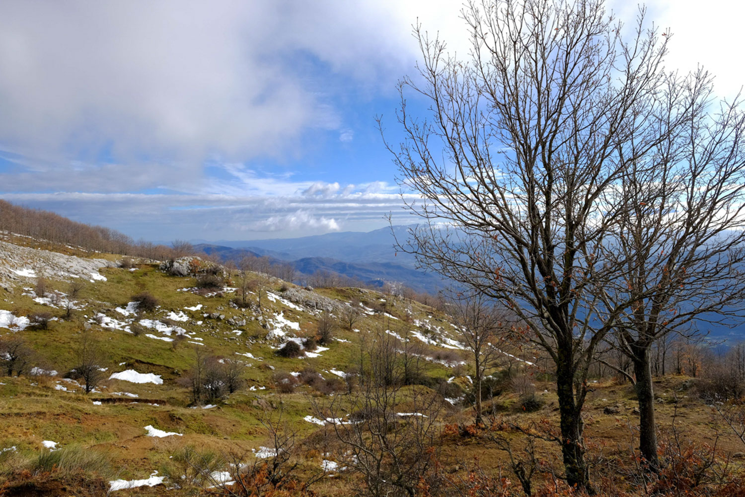 Monte Alpi