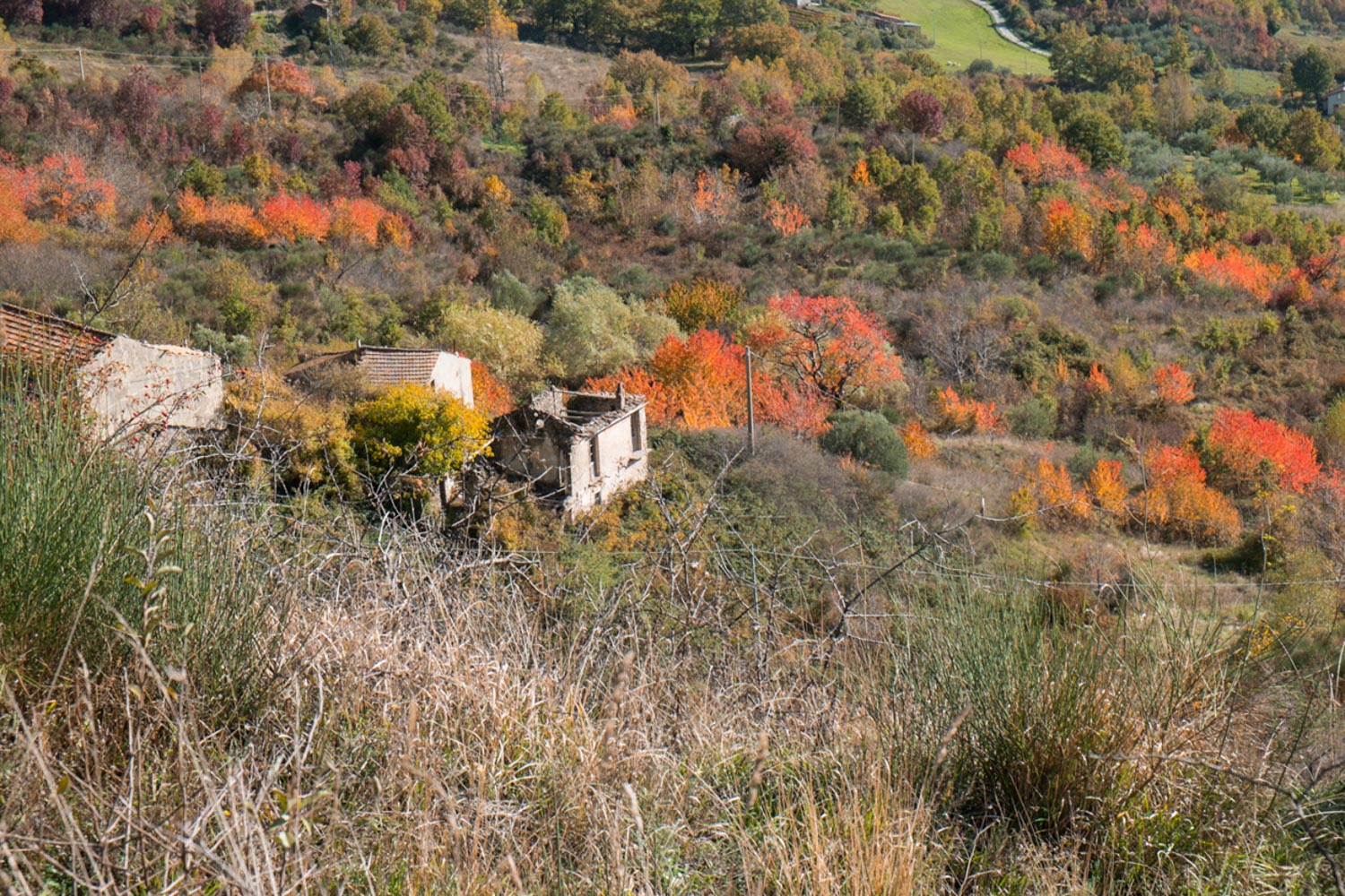 Autunno