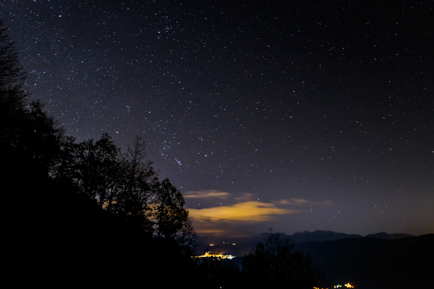 Notte
