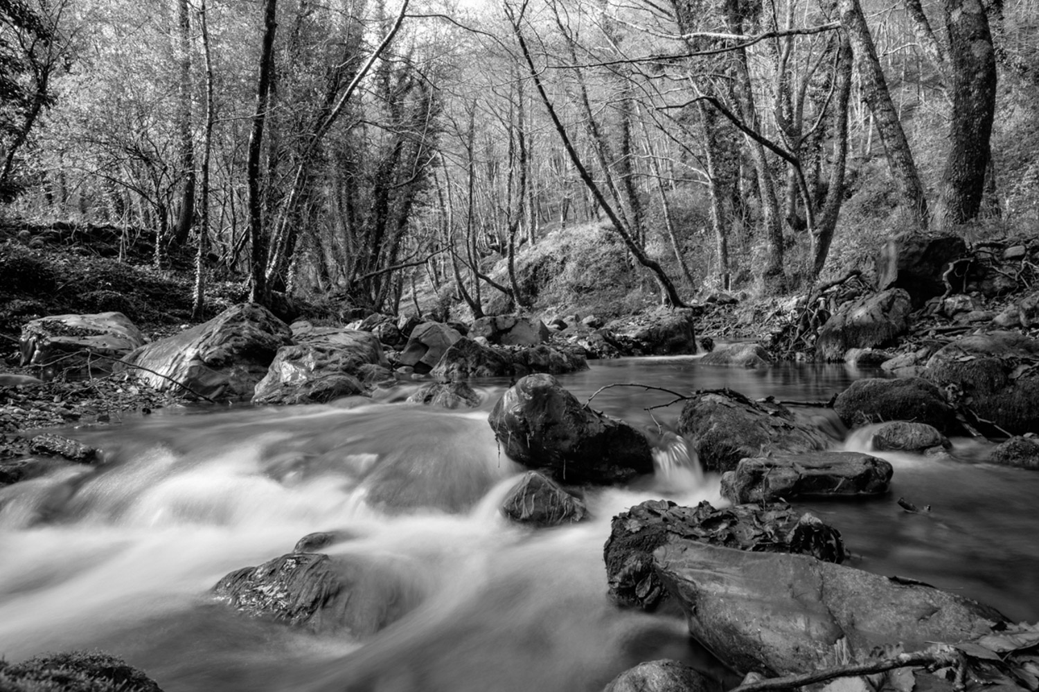 Fiume Sinni