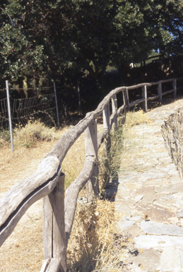 steccato