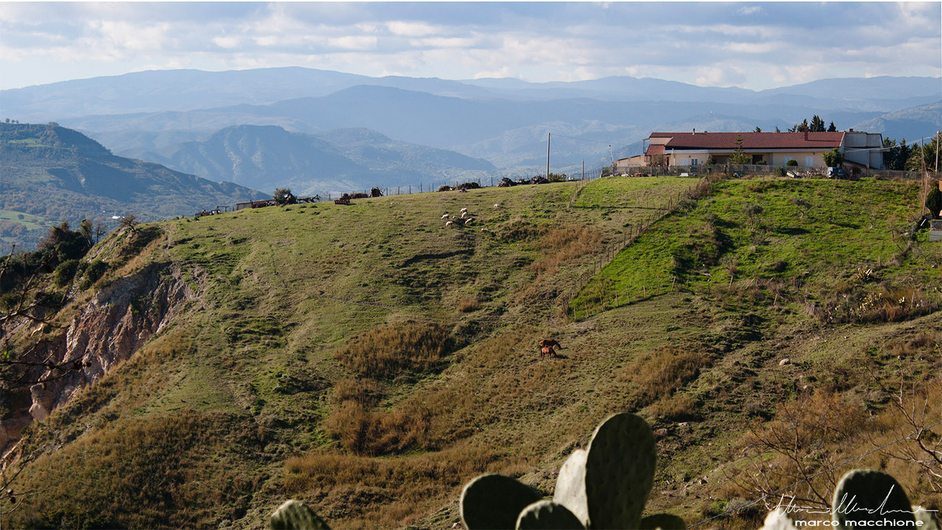 Fattoria