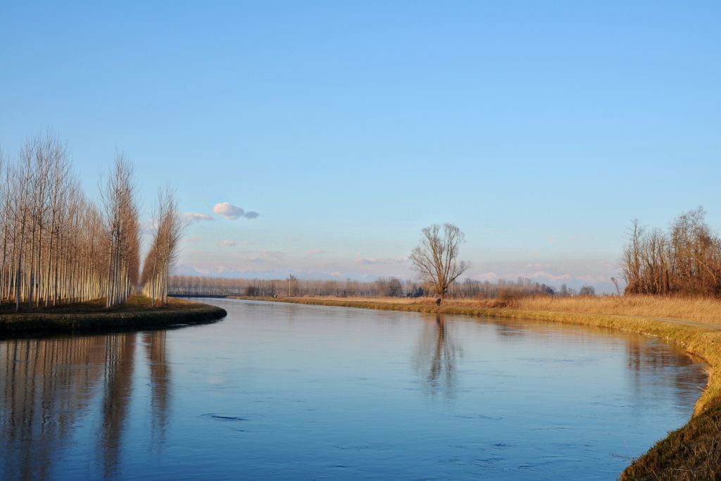 Canale Muzza