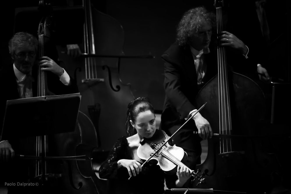 Musicanti