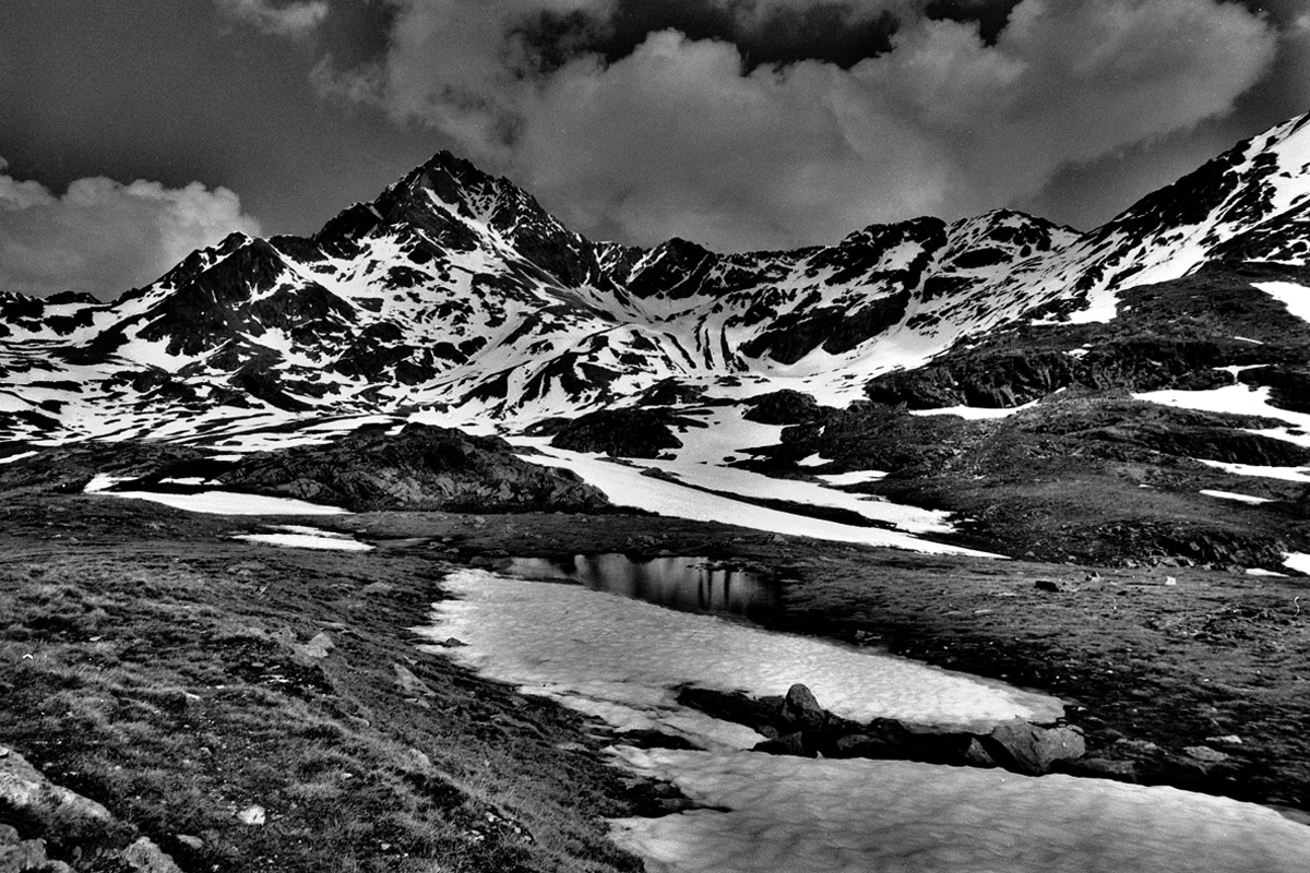 Gavia in Valtellina