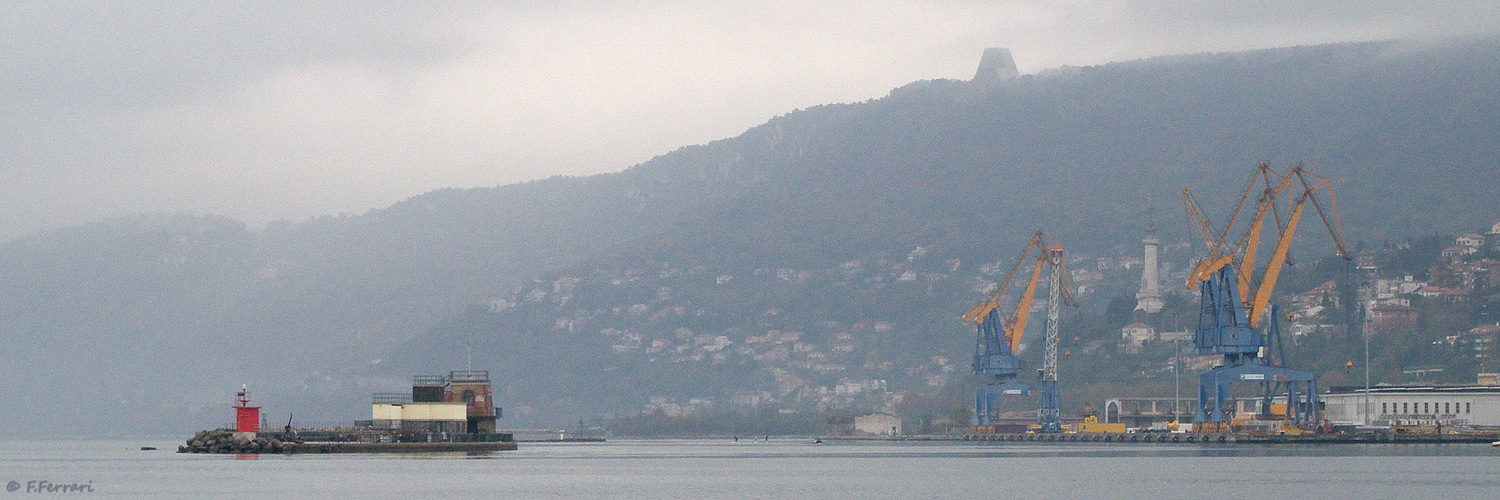 IMGP0858