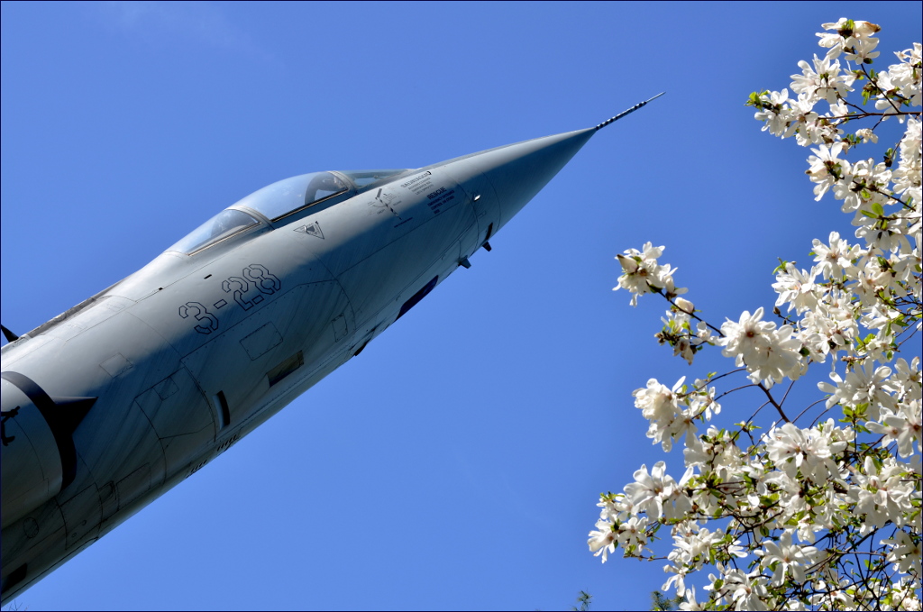 Primavera aeronautica