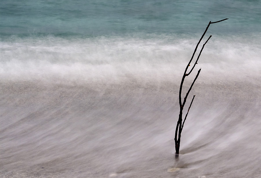 Pennelletata di mare 2