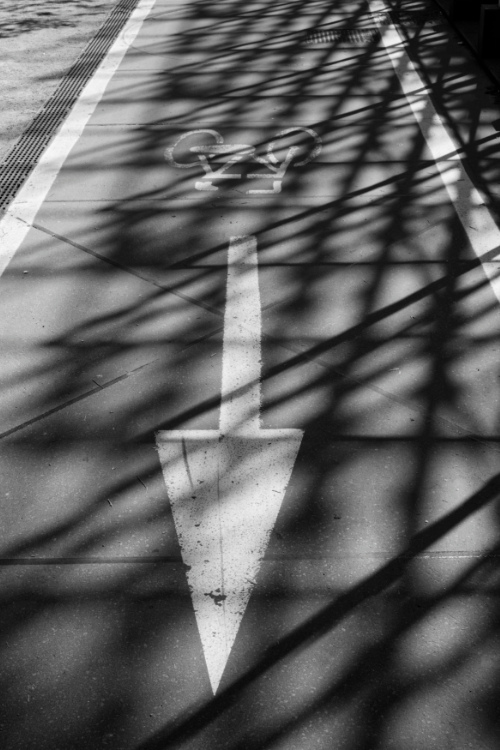 Expo gate shadow