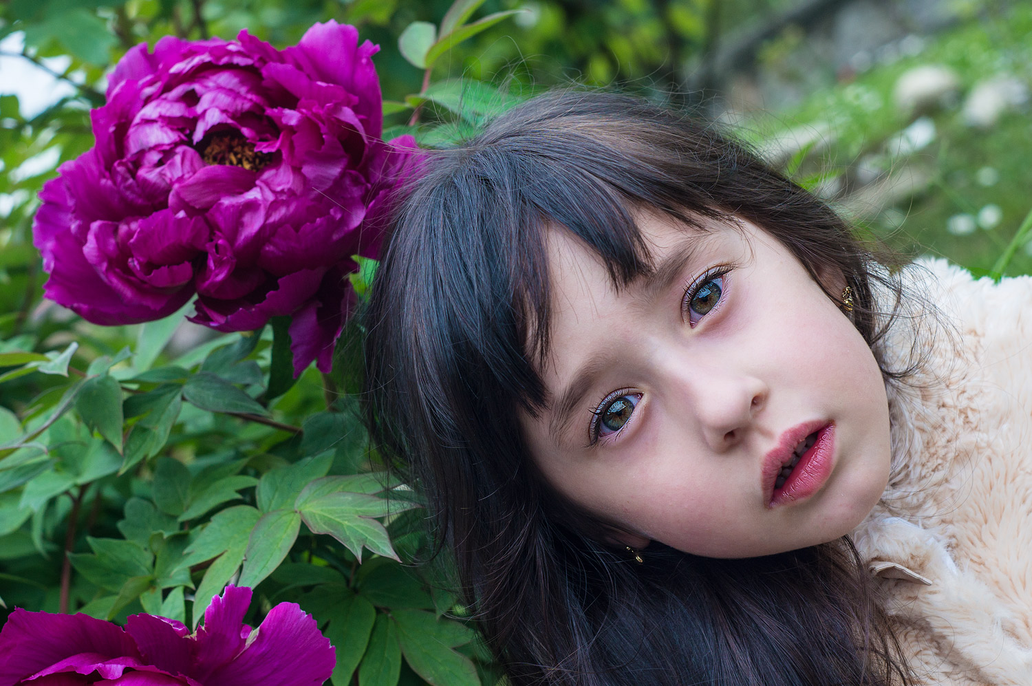 in the garden