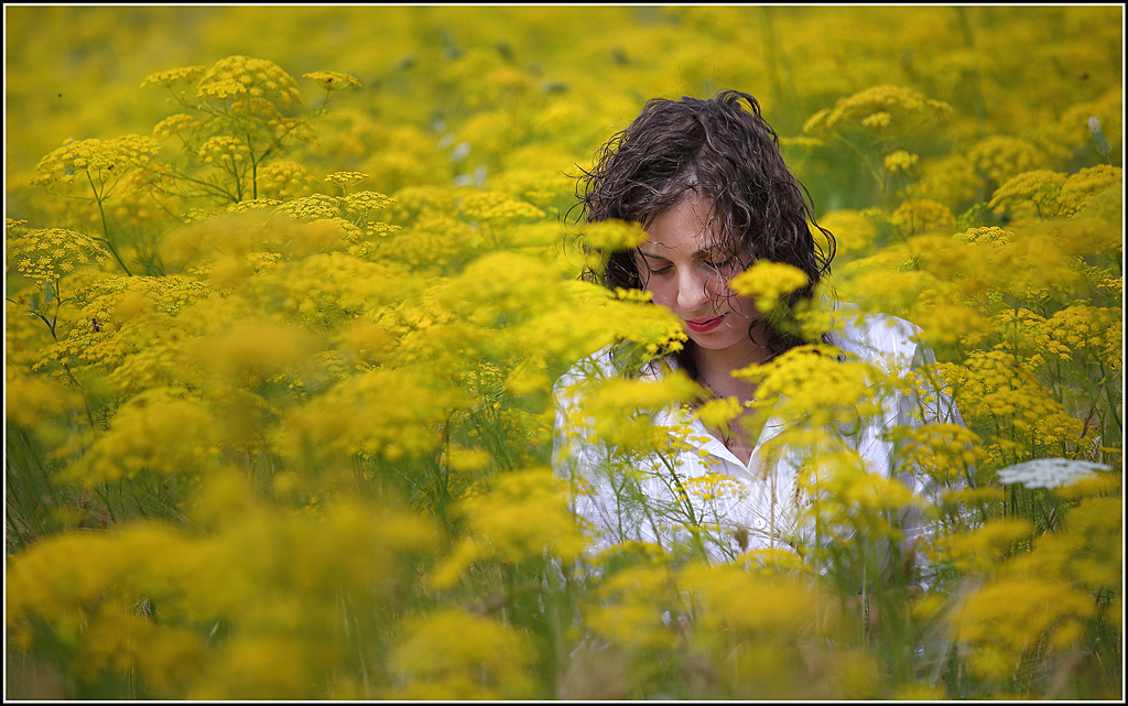 Fiore di maggio