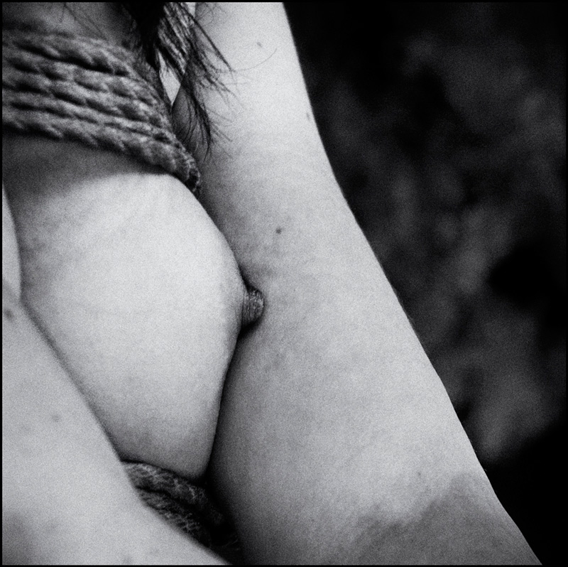 Shibari
