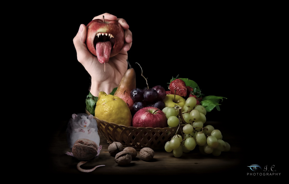 Natura viva ogm