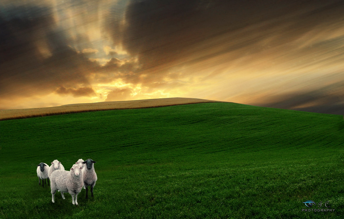pasturage