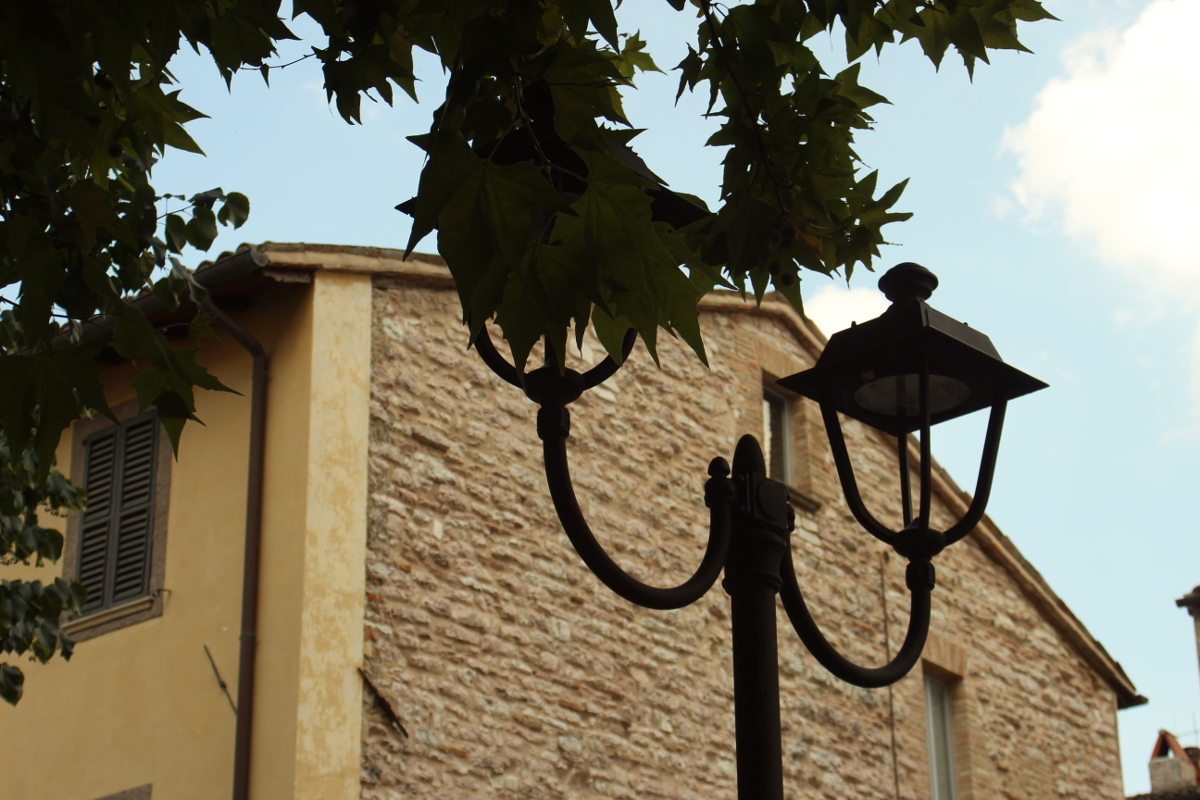 Lampioni e foglie
