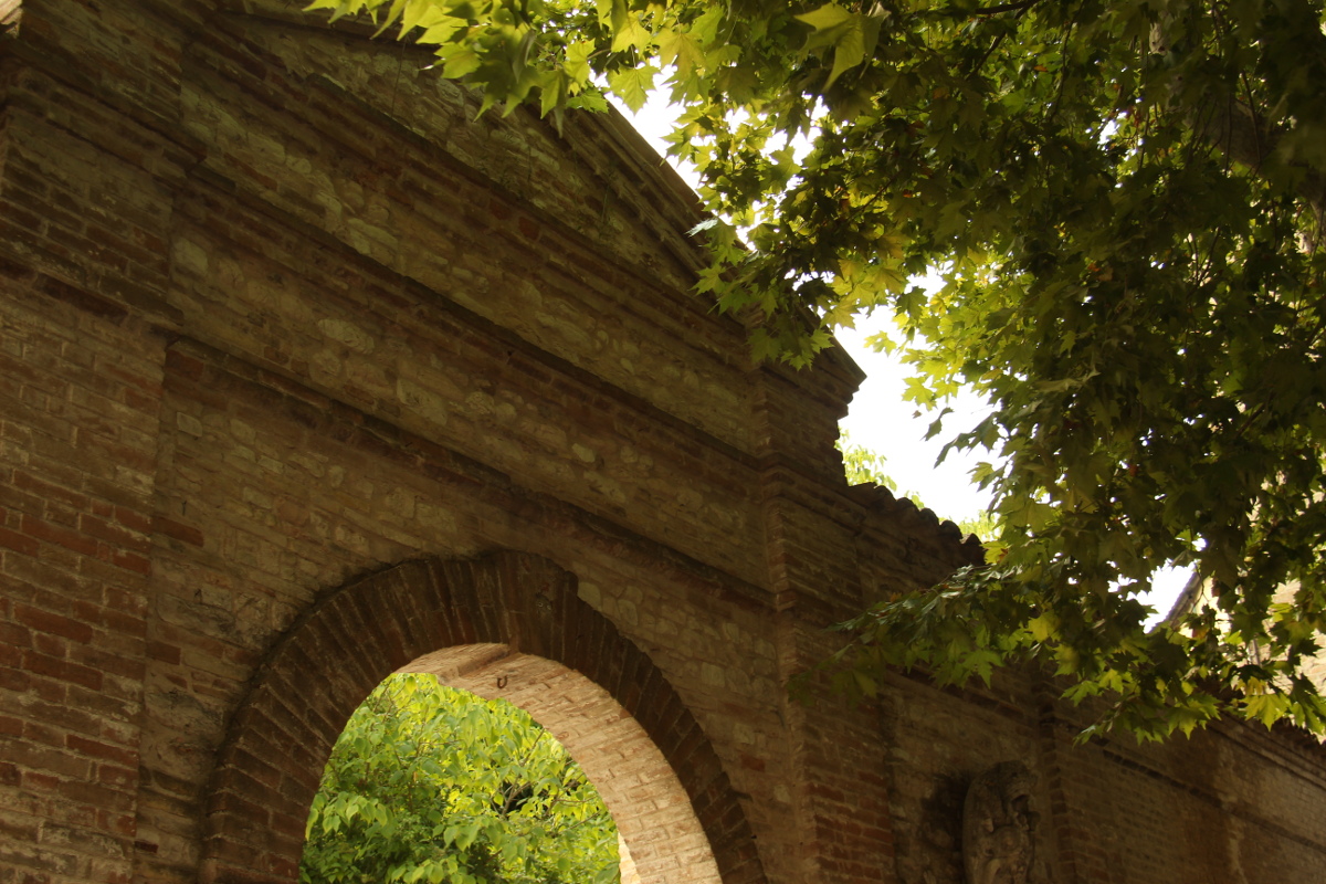 Arco e foglie