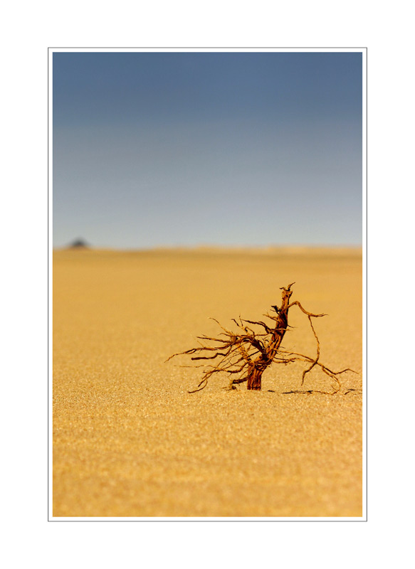 Libia-Sahara (di stecco333)