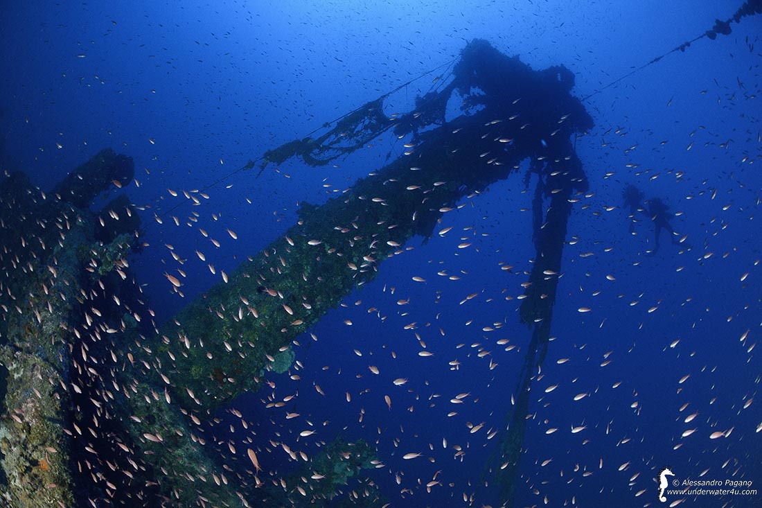 Wreck "Valfiorita"