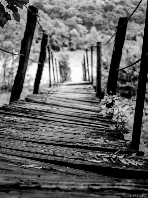 Unsafe Bridge