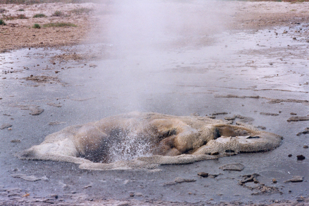 Geyser in Islanda