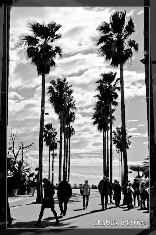 MENTON